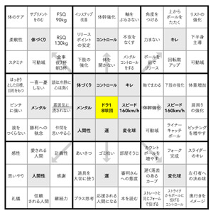 大谷翔平マンダラ300×300